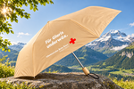 CHF 30.– pro Stück CHF 30.– pro Stück